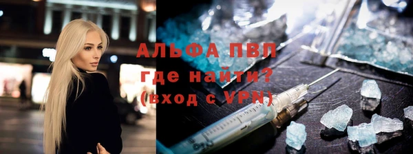хмурый Белокуриха