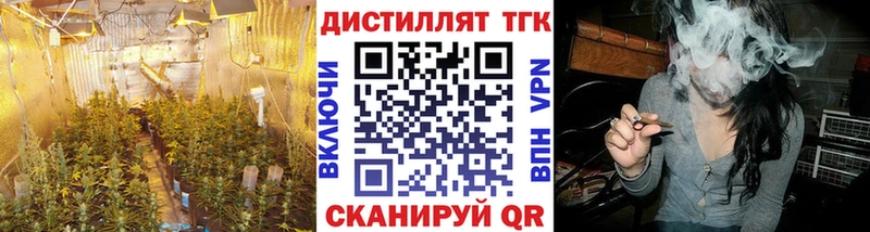Купить  Петухово  ТГК жижа 