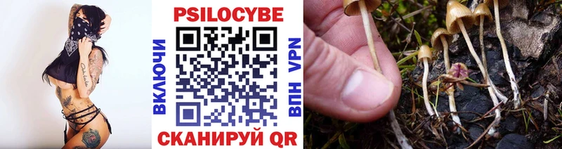 Купить закладки  Петухово  Галлюциногенные грибы GOLDEN TEACHER 